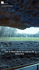 ¡Ya está disponible la visita virtual al Museo de Altamira! 🥳 Con ella podrás conocer de cerca el Museo y recorrer sus salas y la Neocueva como si estuvieses aquí. Puedes optar por seguir el tour de bienvenida de la mano de nuestra directora, Pilar Fatás, con la que descubrirás algunos de los espacios más destacados del Museo. A través de la visita libre podrás recorrer toda la exposición permanente, incluida la Neocueva, con imágenes de altísima resolución de nuestros espacios y colecciones 🔎