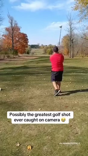 11K reactions · 322 comments | POV you choose to go blind wolf and proceed to do this  Download @dailydogfightsgolf to track all your on course games with your buddies  #golfswing #golf #golfbetting #dailydogfights | Daily Dogfights Golf | Facebook