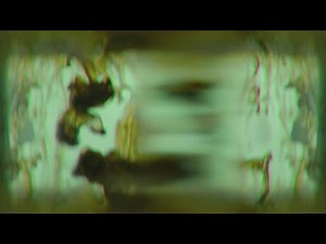 Ink Drop in Water - Motion Background Effect Loop | Free Download