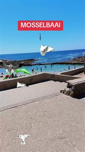 Discover the Best Holiday Spots in Mossel Bay