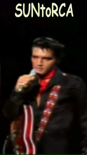Elvis Presley Rubberneckin (Remix) #elvispresley #elvis #oldies #elvispresleysong