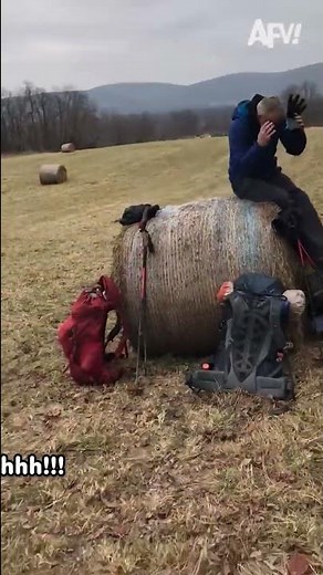 They never grow up! 🤣 Shout out to this week's #FANtasticcomment !! #funny #fail #fall #afv