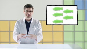 FLVS Marine Biology - "It's Science: Natural Selection"