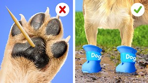 33K views · 75 reactions | Cool Tool on Reels | Facebook