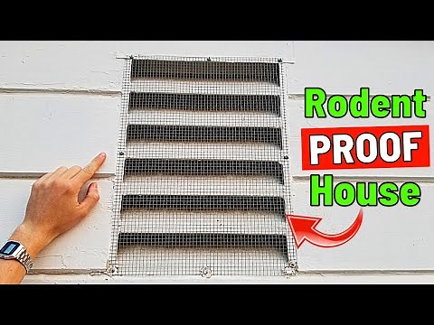 How To Mice, Rat & Rodent PROOF your House.