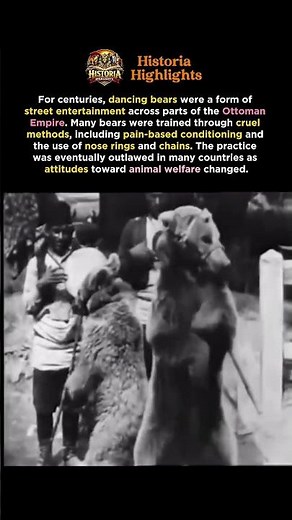 The Cruel History of Dancing Bears in the Ottoman Empire