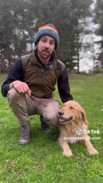 Teaching Your Dog to Fetch: Step-by-Step Guide