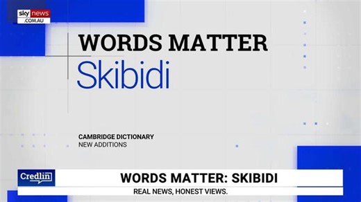 Words Matter: Determining the meaning behind ‘skibidi’
