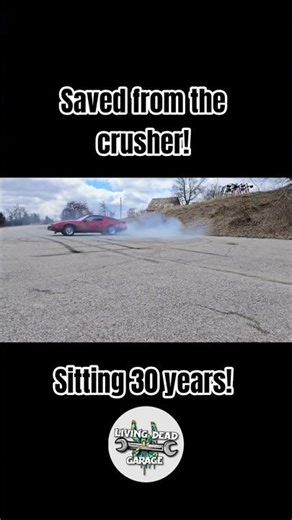 junk yard trans am doing trans am things #revival #junkyard #burnouts #keepitfloored