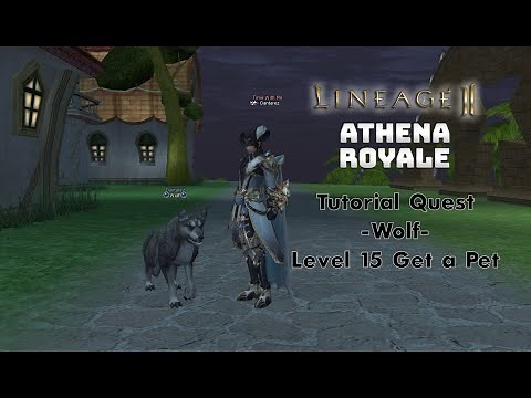 Lineage 2 Quest - Wolf Quest - Get a Pet Tutorial - Lineage 2 High Five Athena Royale