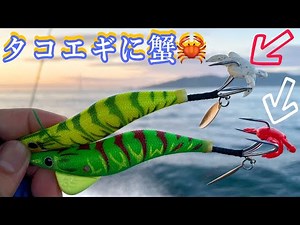 【明石タコ釣り】タコエギに蟹🦀を付けて釣果は上がるのか⁉️＃マルキューパワークラブ