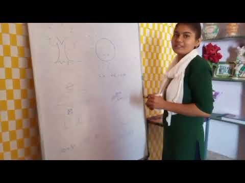 IGNOU DECE-4 Project work, Day-43,Activity-43