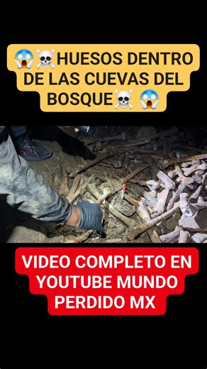 35K views · 383 reactions | La cueva de los huesos en el bosque de chapultepec #mundoperdidomx #fyp #explorar #bosqueque | Jóse Rodriguez | Facebook