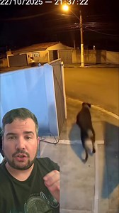 Juan Rodriguez on Reels