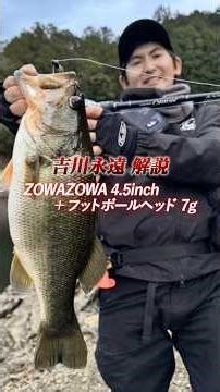 ZOWAZOWA bottom setting explanation