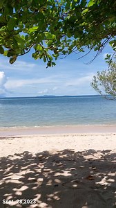 Edna's Beach and Campsite on Reels