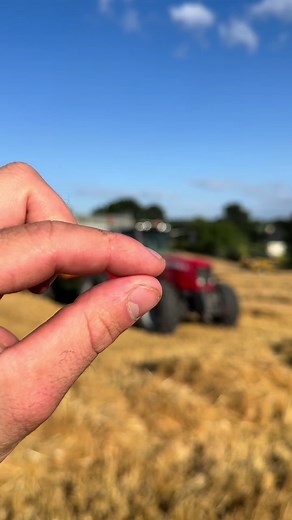 Début des moissons à la ferme - Massey 6480