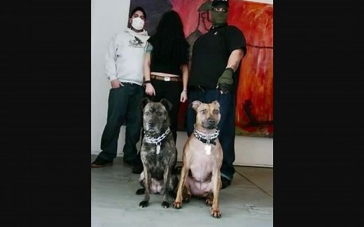 美国双雌性比特犬主唱狗狗碾/死碾/碾核乐队 Caninus- No Dogs,No Masters 单曲试听