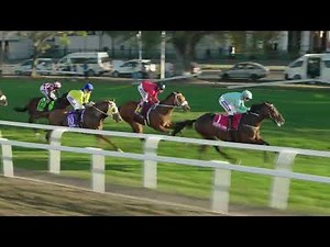 HOLLYWOODBETS DURBAN JULY 2025 RACE 7 DRONE FOOTAGE