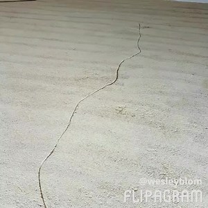 Completed installation of 450m2 BASF MasterTop 1210 1mm epoxy system into this Executive Home (garages and workshop areas). | Floor Tech