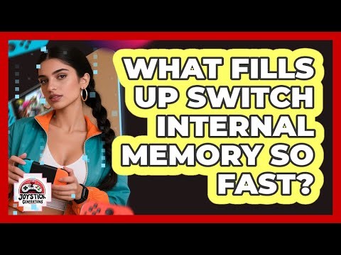 What Fills Up Switch Internal Memory So Fast?