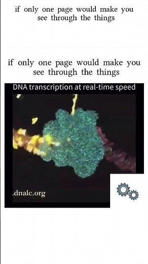 Watch DNA transcription in Real Time 🧬