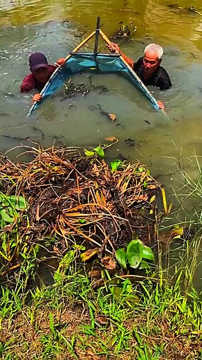 #fishing #fish #outdoors #flyfishing #nature #catchandrelease #bassfishing #fishinglife #travel #photography #ocean #trout #bass #adventure #angler #florida #beach #fisherman #tightlines #fishingislife #fishingtrip #largemouthbass #sunset #saltlife #saltwaterfishing #hunting #summer #lake #boat #troutfishing#fish #fishing #nature #ocean #outdoors #food #travel #fishinglife #photography #catchandrelease #sea #bassfishing #flyfishing #foodie #seafood #aquarium #bass #love #instagood #water #trout 