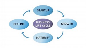 Business Life Cycle - Startup Growth Maturity Decline Diagram Cycle Animation on White Background and Green Screen