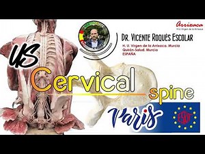 CERVICAL FACET JOINT AND MEDIAL BRANCH INJECTION (WORKSHOP WCRA PARIS 2023)