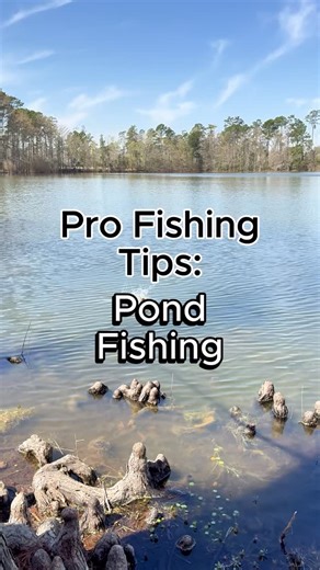 Juran Adventures on Instagram: "3 tips for pond fishing for bass. When pond fishing it’s important to understand how underwater structure affects bass and bait habits, use proper scouting techniques, and use appropriate search baits to help maximize your odds of success! Make sure to try out Fishbrain’s free trial to check out fishing spots in your area! #fishing #fishingtips #bassfishing #pondfishing #bankfishing @fishbrainapp"