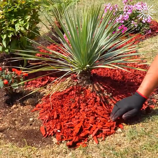 46K views · 256 reactions | Creative idea for your garden! | Bee Inspired | Facebook