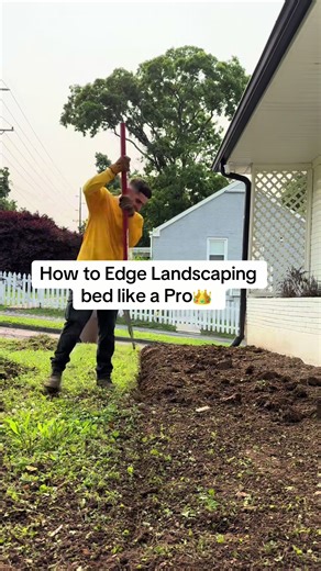 Recommended Mulch Depth for Lawn Care Success