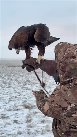 An Ancient Wildlife Tradition