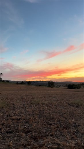 Pigging in Australia: A Hunter's Experience