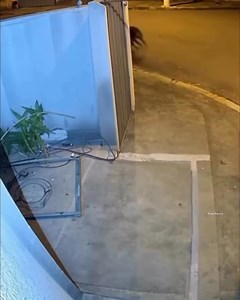 664K views · 4.5K reactions | Unexpected  | Ｐｓｙｃｈｏｔｉｃ | Facebook