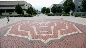 'It's nice to see it's holding up': MSU bear head logo turns 20