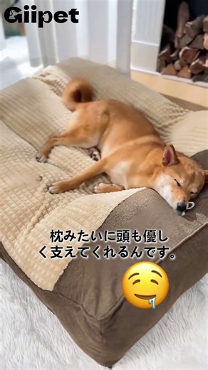 [A must-see for large dog owners!] Your dog will love Giipet's fluffy and comfortable bed