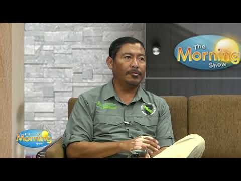 Low Oxygen Suspected in Massive Belize River Fish Kill | PT 1