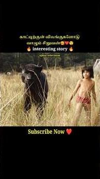 A boy raised by the wild|The jungle book#shorts#short