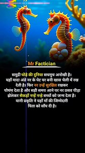 1M views · 11K reactions | Seahorse is a unique animal #ocean #animals #reels #facts #mrfactician | Mr Factician | Facebook