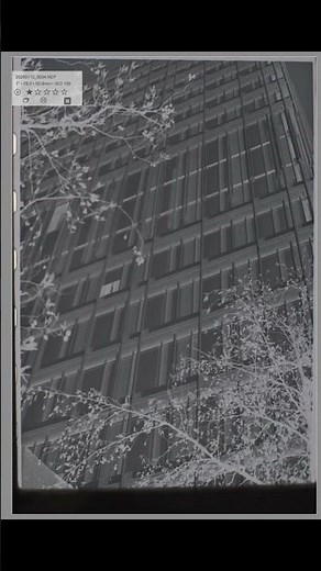 Result of Negadoctor and Darktable Development Process #photography