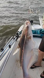 9.1K views · 135 reactions | Life is good and fishing is fun. Let's go Messin' with the Fish  | Lake Tawakoni Fishing Guides - Messin' with the Fish Guide Service | Facebook