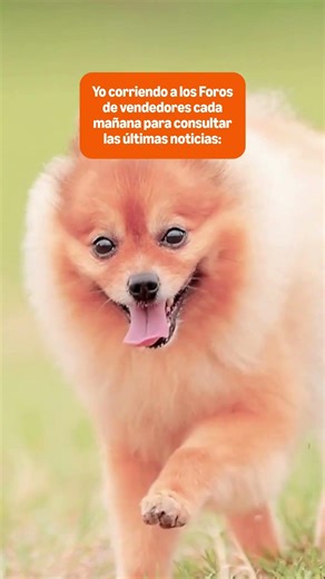 🐶💨 POV: cada mañana revisando el Foro de Vendedores de Amazon.