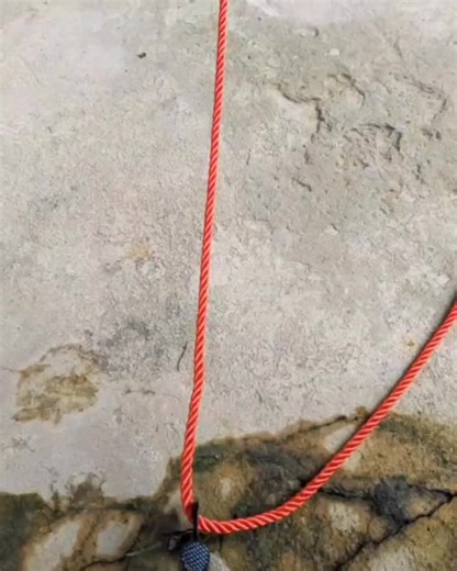 92K views · 1.3K reactions | How to tie rope knots step by step tutorial. #knotsforclimbing #knottutorials #masterknots #RopeDIY #ropecoilingknot #ropehacks #SmartTip #idea #tools #fblifestyle | Weekofknots | Facebook