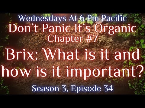 Brix: What is it and how is it important?