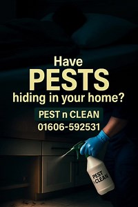 আপনার বাসায় পোকামাকড়ের উপদ্রব? PEST n Pest N Clean - Pest Control...