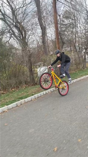 Se clips #wheelie #bikelife #sebikes