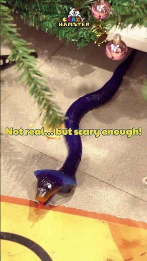 Remote Control Snake Toy | Realistic Movement & Funny Reactions | At Crazy hamster toys store