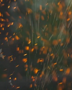 Unrivaled craftsmanship. Next-level reliability. Experience 70 plus years of American engineering behind the wheel of a new E-Z-GO. | E-Z-GO