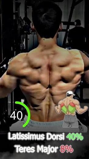 Lever Front Pulldown #shorts #fitness #motivation